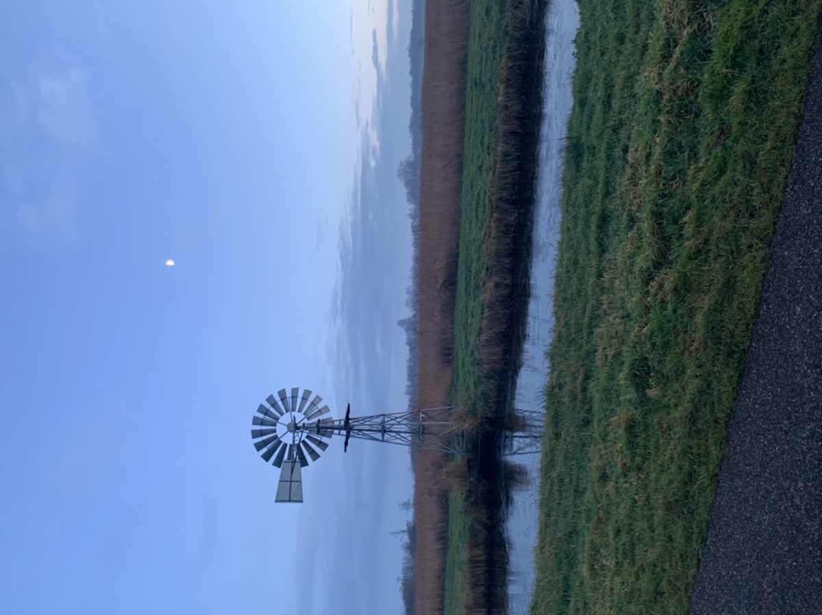 Earnewald, Nationaal Park de Alde Feanen